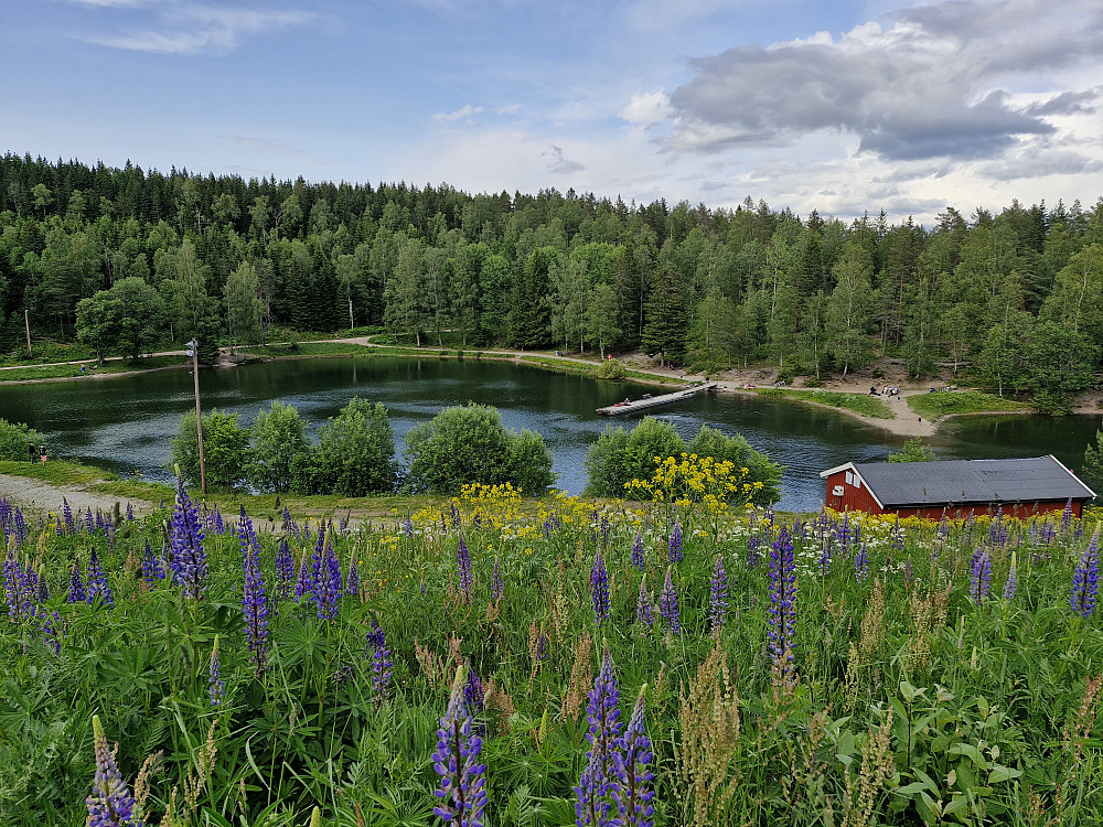 Trollvann