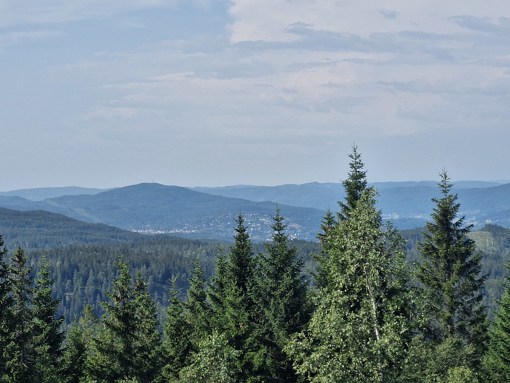 Varingskollen sett fra utsiktstårnet på Røverkollen