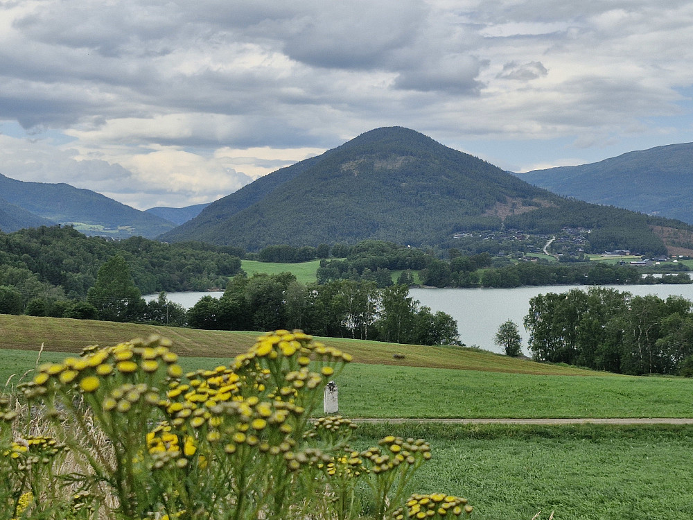 Lomskollen