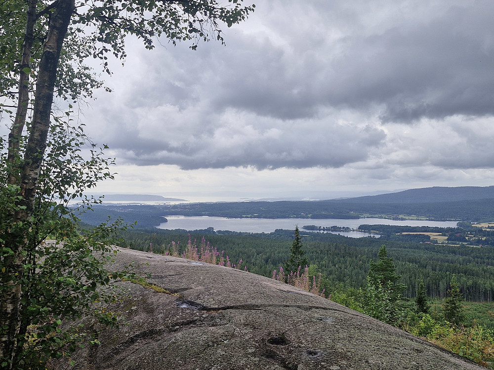Maridalsvannet sett fra Barlindåsen utsiktspunkt