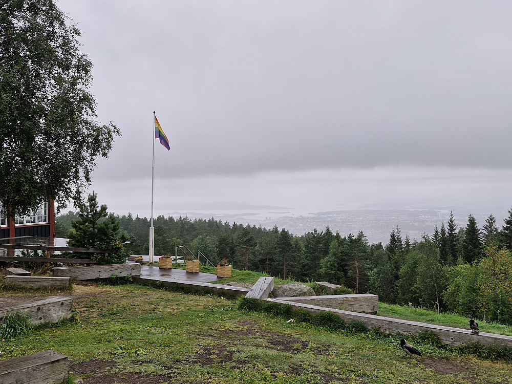 Utsikt fra Grefsenkollen