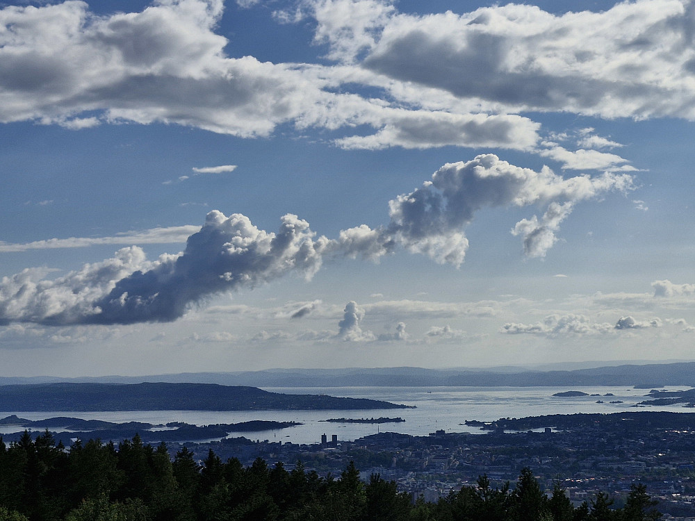 Oslofjorden sett fra Grefsenkollen
