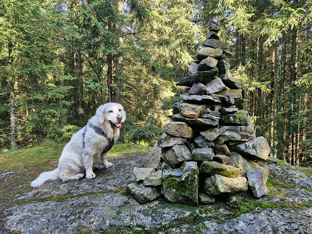 Luna og varden på Lachmannsfjell