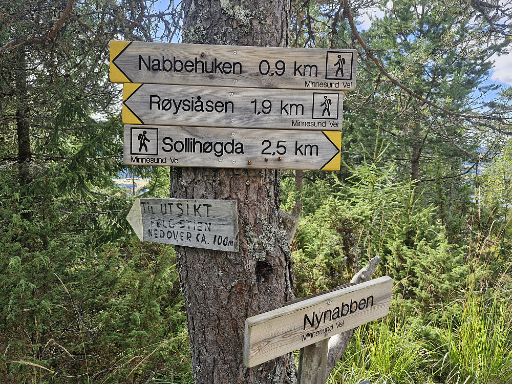 Skilting på toppen