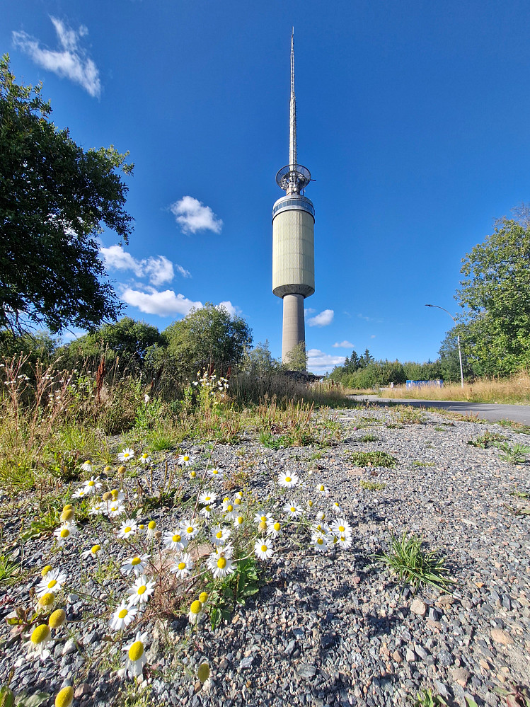 Tryvannstårnet