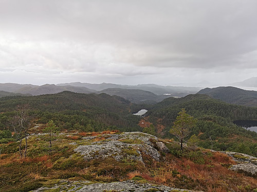 Fra Klibberen, sett ned mot Lonedalen