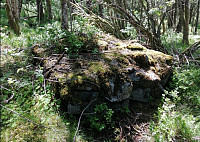 IsaacLone_20221228_63ac71f4581b0.jpg