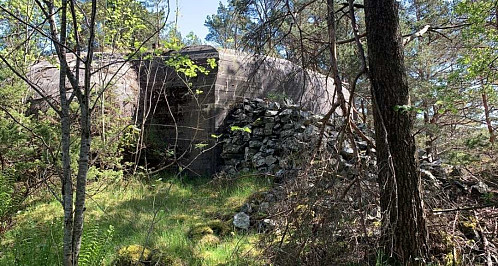 Vakttårnet