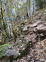 Erlingandreas_20211017_616c52466cb59.jpg