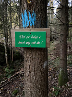 Erlingandreas_20211017_616c5247376ab.jpg