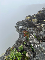 Erlingandreas_20230721_64ba8b7168349.jpg