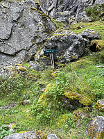 Erlingandreas_20241006_67029f6beb533.jpg