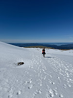 Erlingandreas_20250502_68146f8d0ebeb.jpg