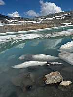 Erlingandreas_20250716_6877427e2b82f.jpg
