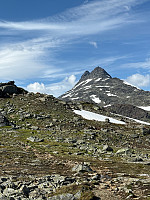 Erlingandreas_20250716_6877428050c22.jpg