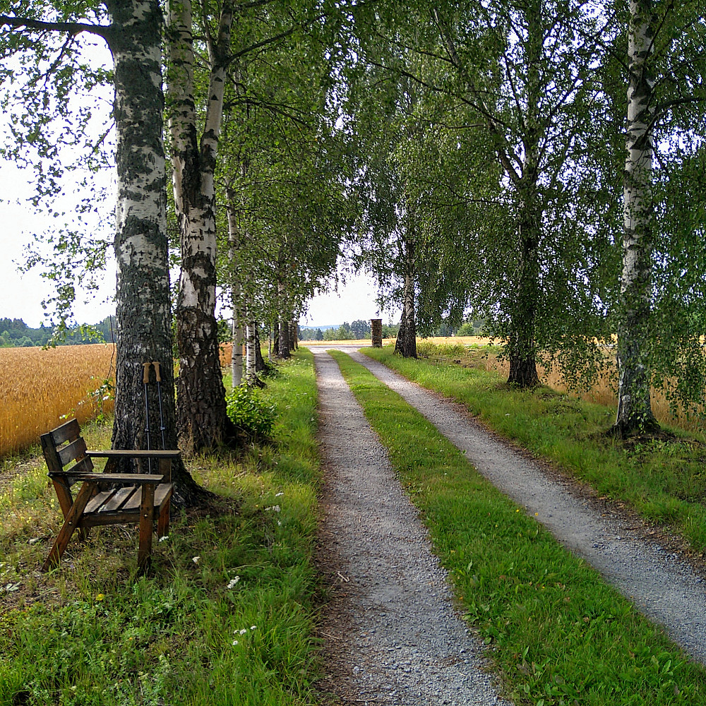 Det er bra jeg har flere slike kvilesteller rundt i villmarka mi.