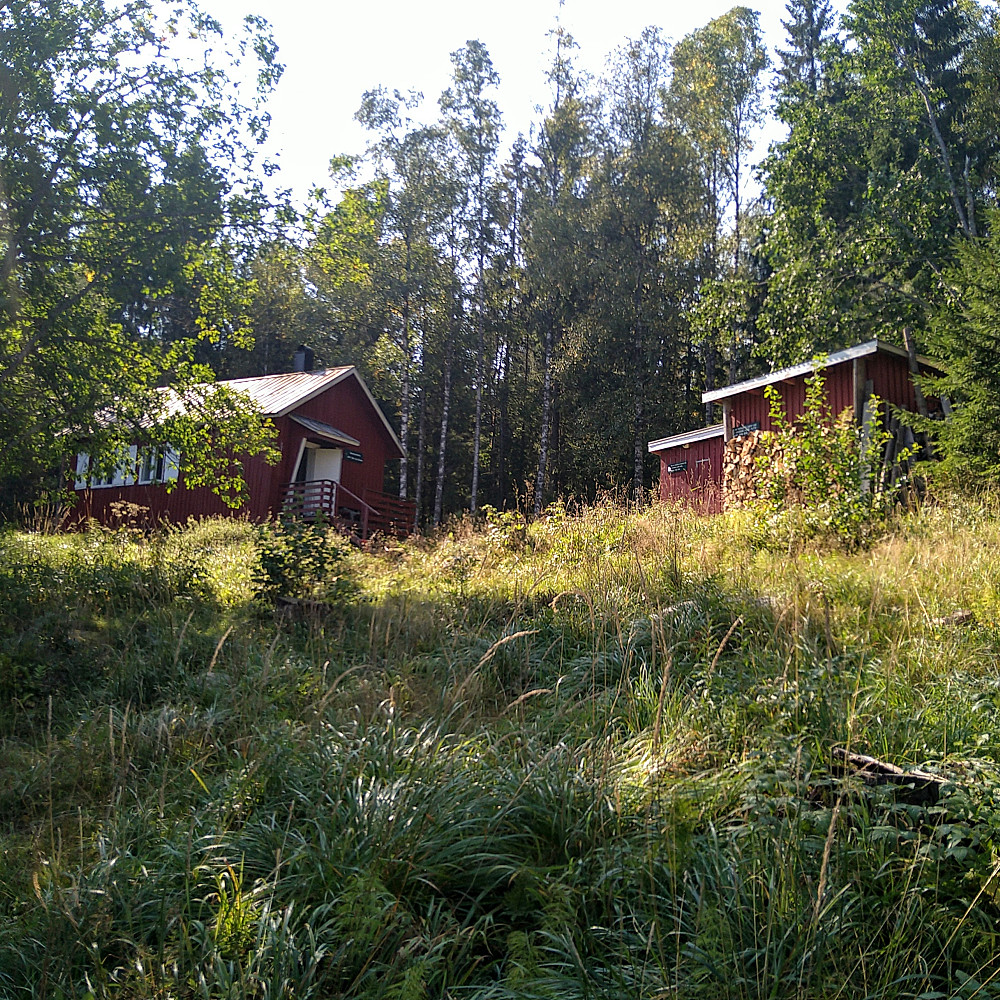 Røyrivannskoia