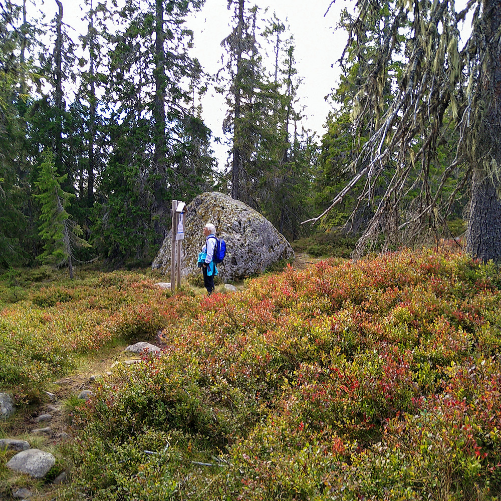Torhild studerer geologien.