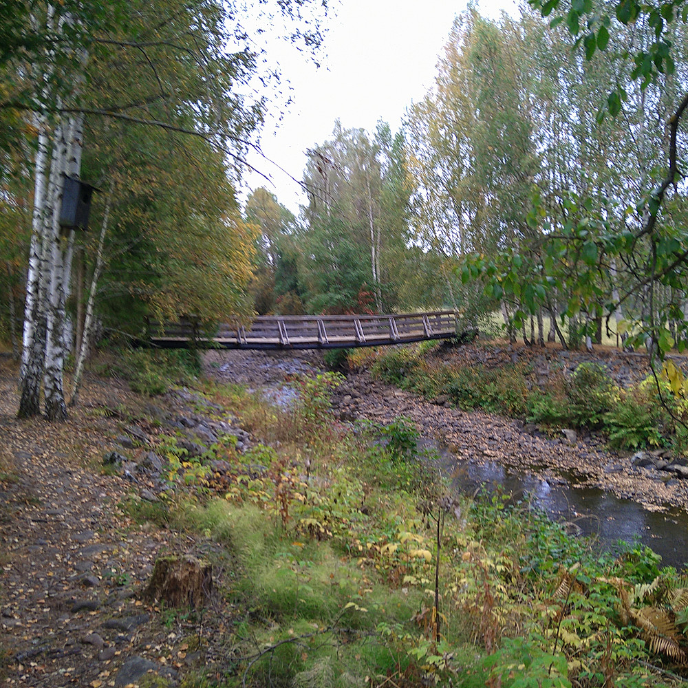 Så lite vatn i Fura nå, så det støver snart. De