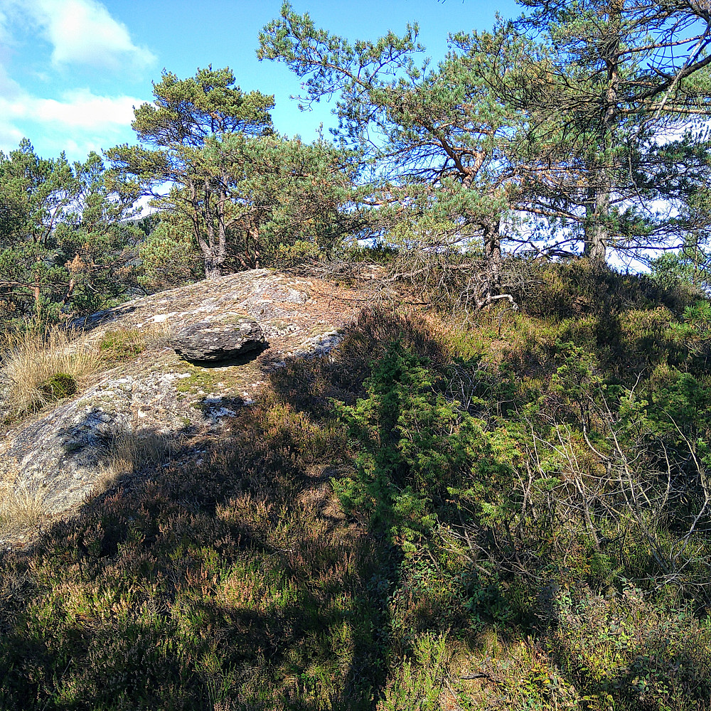 Toppen