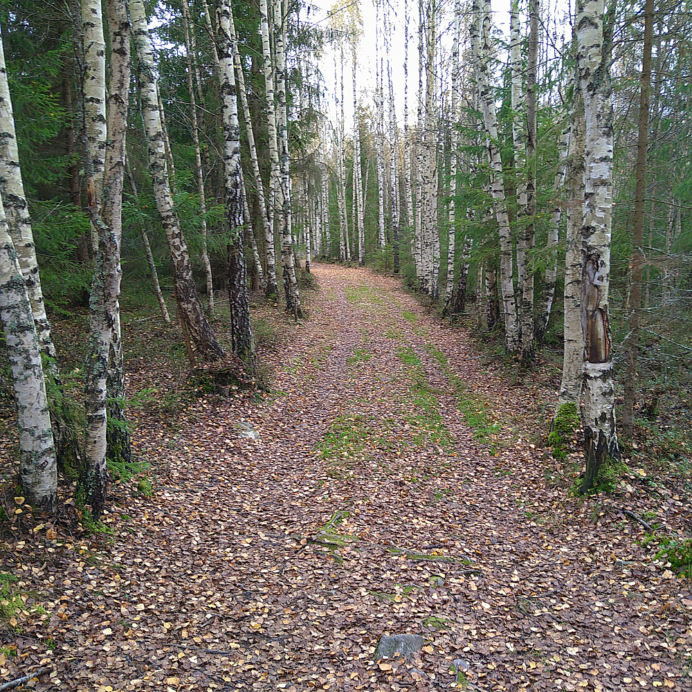 Fint på stiene.
