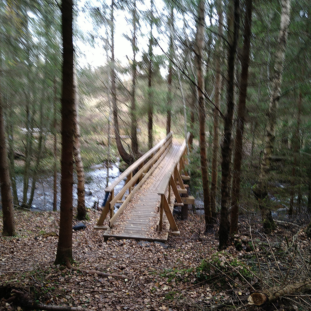 Nord brua