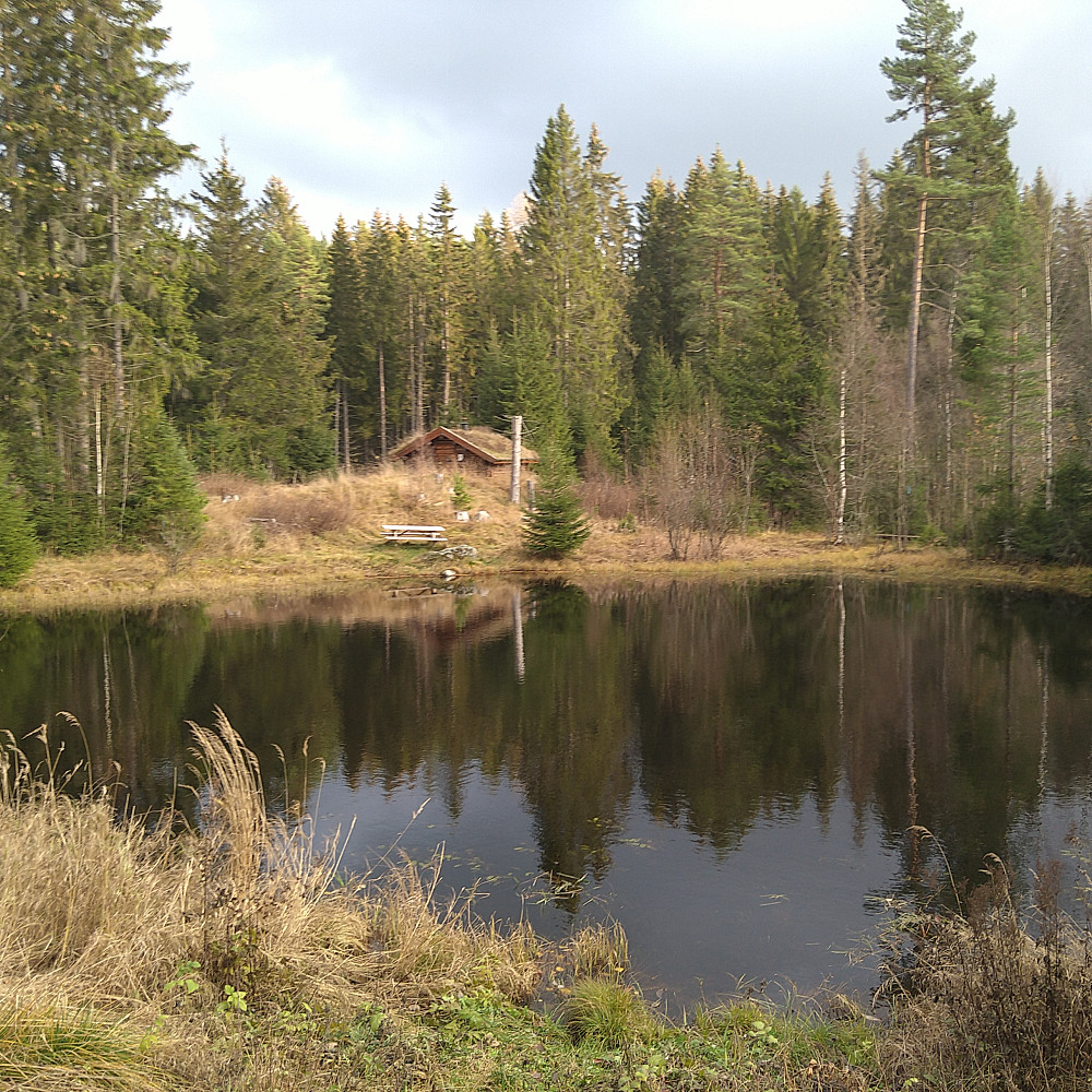 Rønevangen