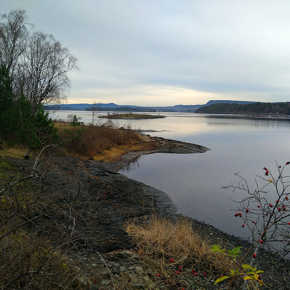 Høyvann.