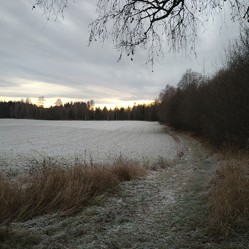 Rakk så vidt hemmatt før det ble mørkt. Nå