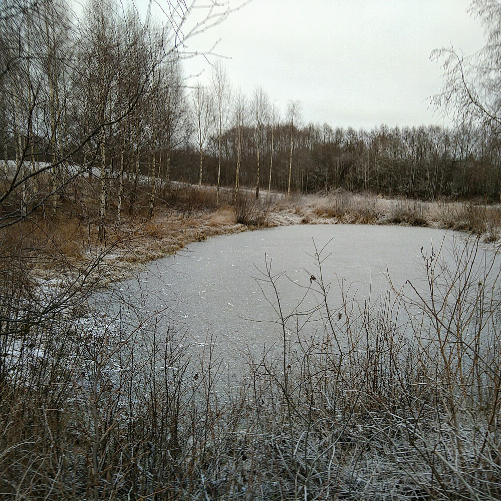 Skøyteis på Vomma.