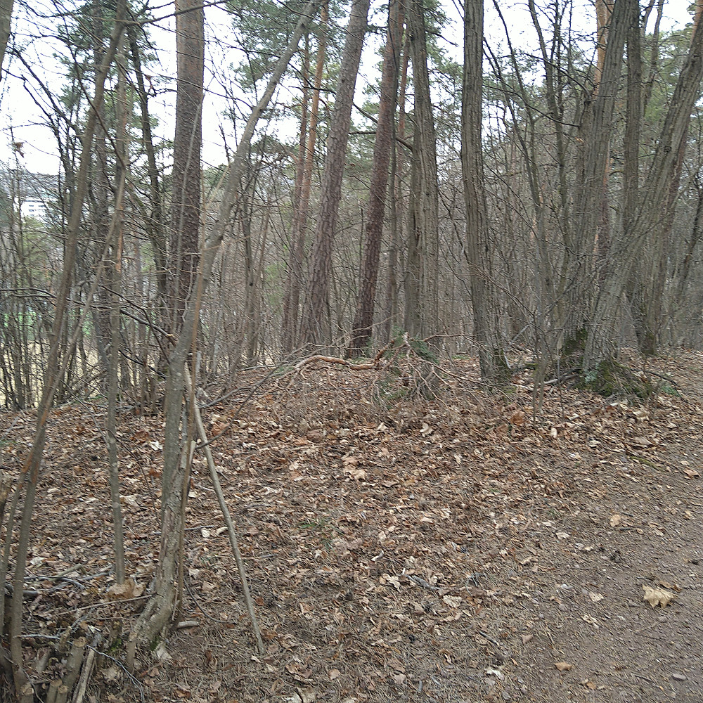Dronningberget.