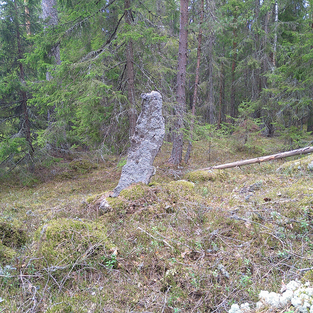 Fin bauta på toppen.