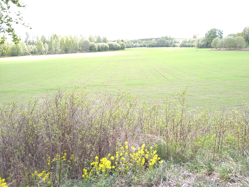 Store jorder i Romedal ------ 900  meter langt.