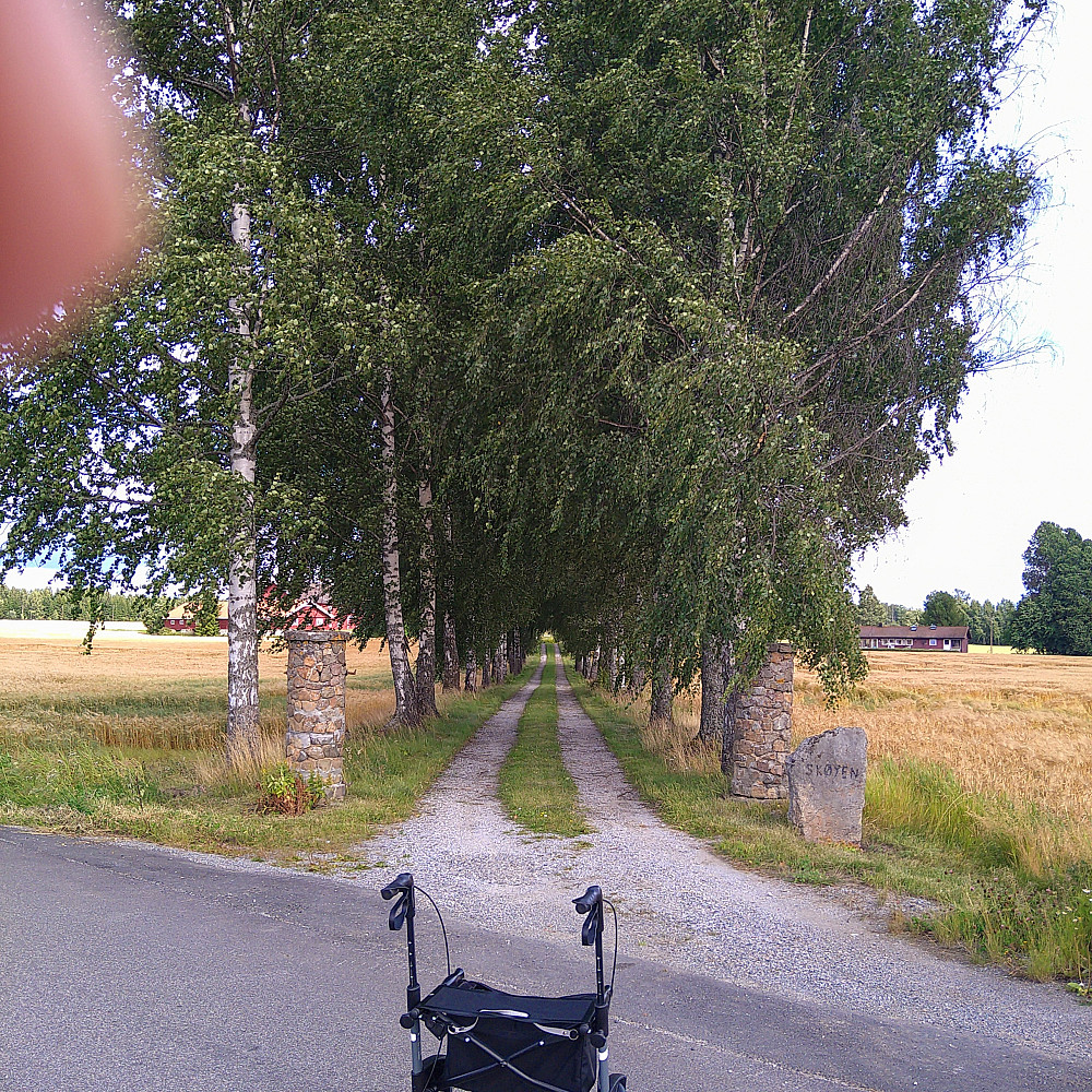 Langtur med Tesslaen.