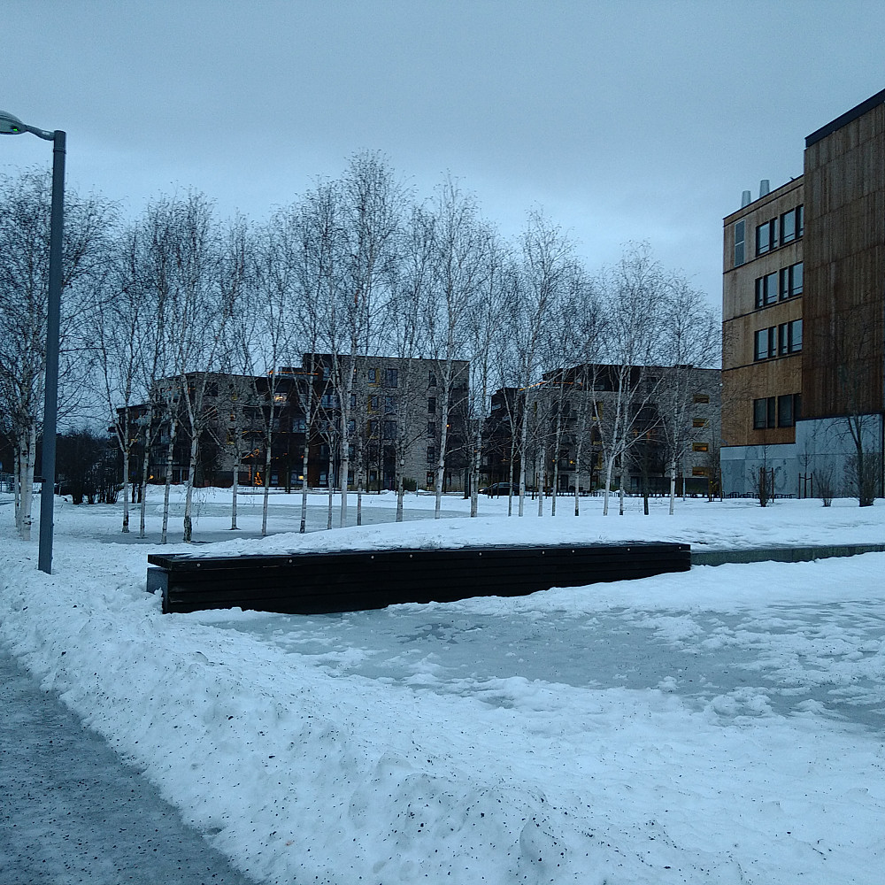 Her i skogen bor vi.