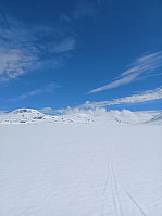 tomcla_20230518_646600f889fef.jpg