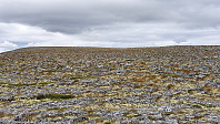 Rostro_20220731_62e6a5e919b14.jpg