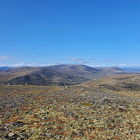 Rostro_20220801_62e6fbc4b54d7.jpg