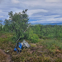 Rostro_20220803_62ea7e6ed871d.jpg