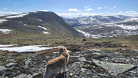Rostro_20220807_62f02311ed9dd.jpg