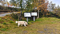 Rostro_20220925_633095e606051.jpg