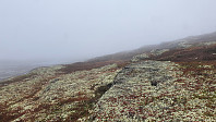 Rostro_20220925_63309cb1cd36e.jpg