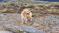 Rostro_20221009_6342d249eef5e.jpg