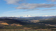 Rostro_20221022_635416ed0ee72.jpg