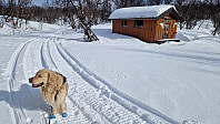 Rostro_20230318_6415bff44f6a0.jpg