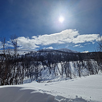 Rostro_20230318_6415bffc42dd7.jpg