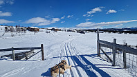 Rostro_20230318_6415bfff5166a.jpg