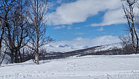 Rostro_20230318_6415c0023ad57.jpg