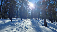 Rostro_20230326_6420396a1e57e.jpg