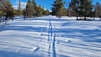 Rostro_20230327_6421d2917f475.jpg